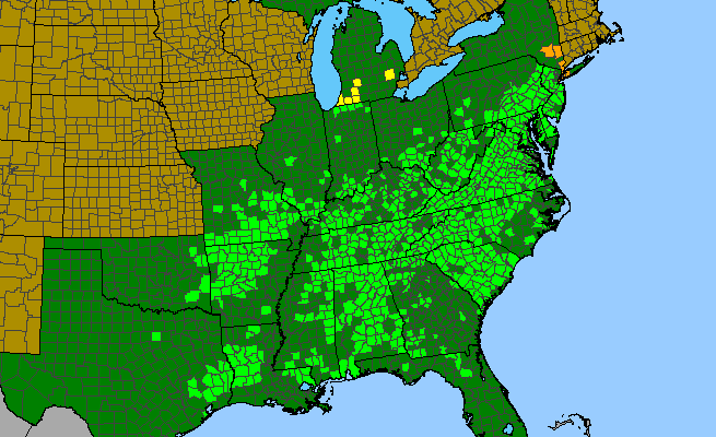 The range of Scutellaria elliptica var. hirsuta